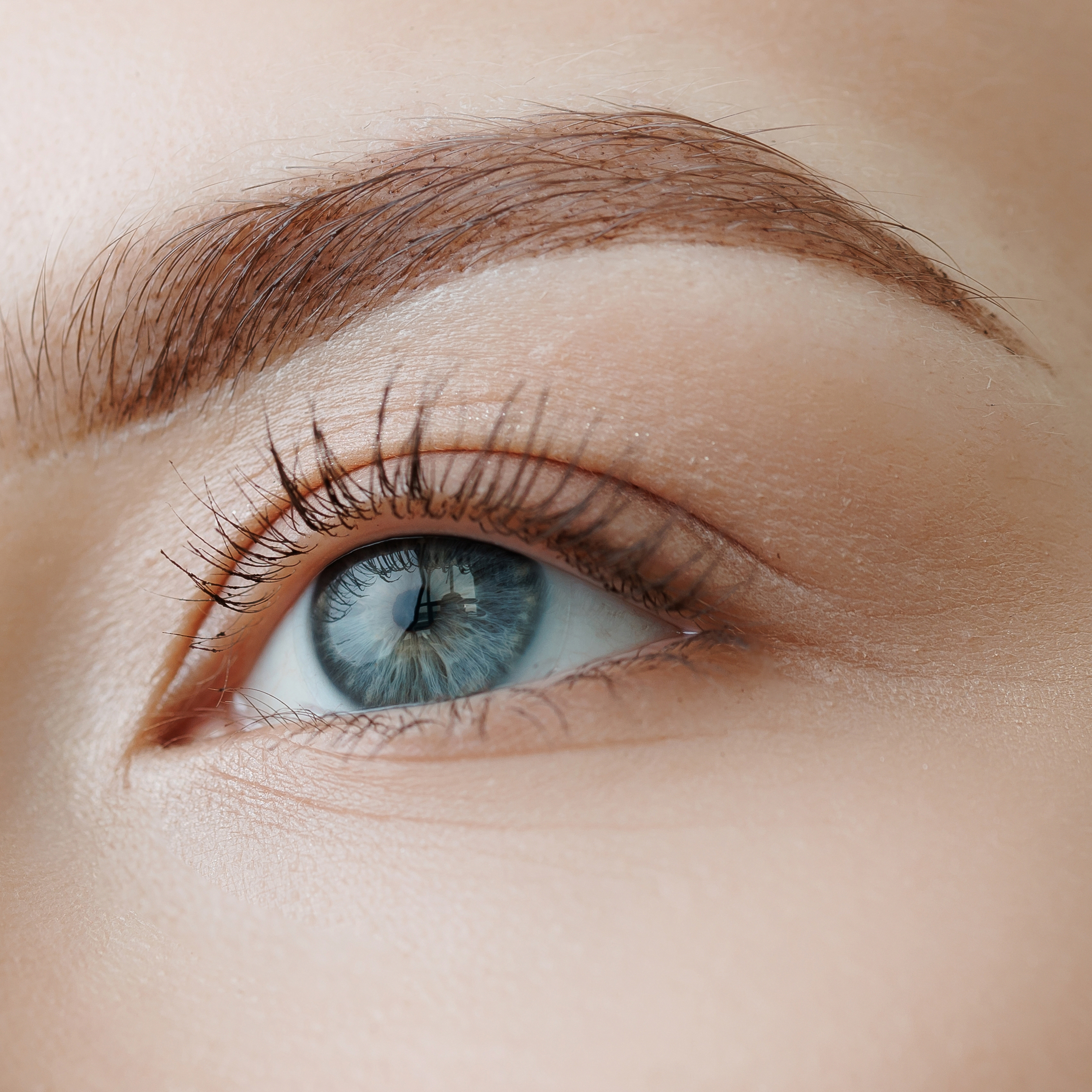 5-tip Eyebrow Tint
